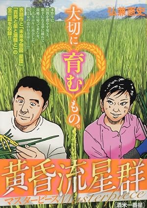 黄昏流星群〔小学館文庫〕 (10) (小学館文庫 ひA 40) | 弘兼 憲史 |本