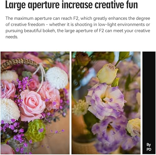 Miniatura 6 de TTArtisan Lente de cámara F2 gran angular APS-C de 0.984in, lente de cámara fija manual de apertura grande para cámaras Sony E NEX-5 NEX-C3 NEX-5N