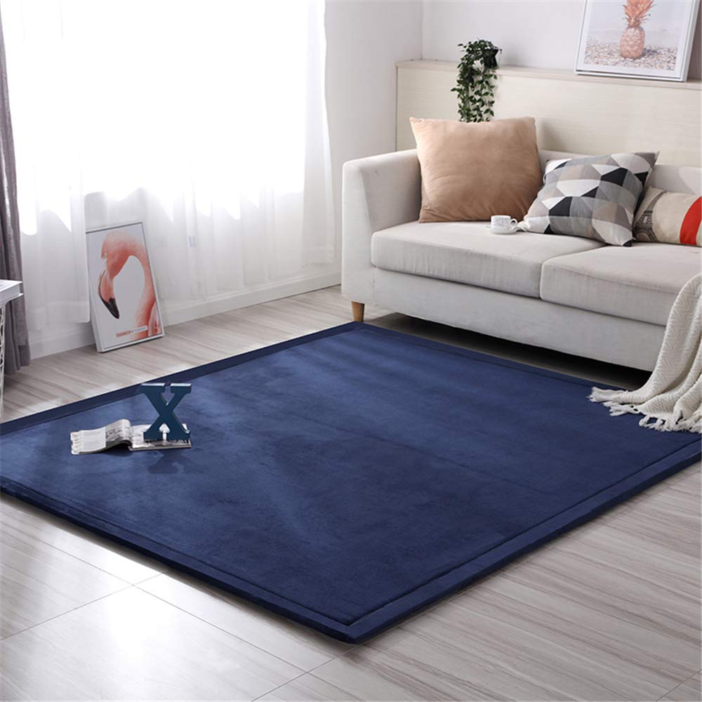 Blivener Coral Velvet Tatami Rugs Childr Buy Online In Antigua And Barbuda At Desertcart
