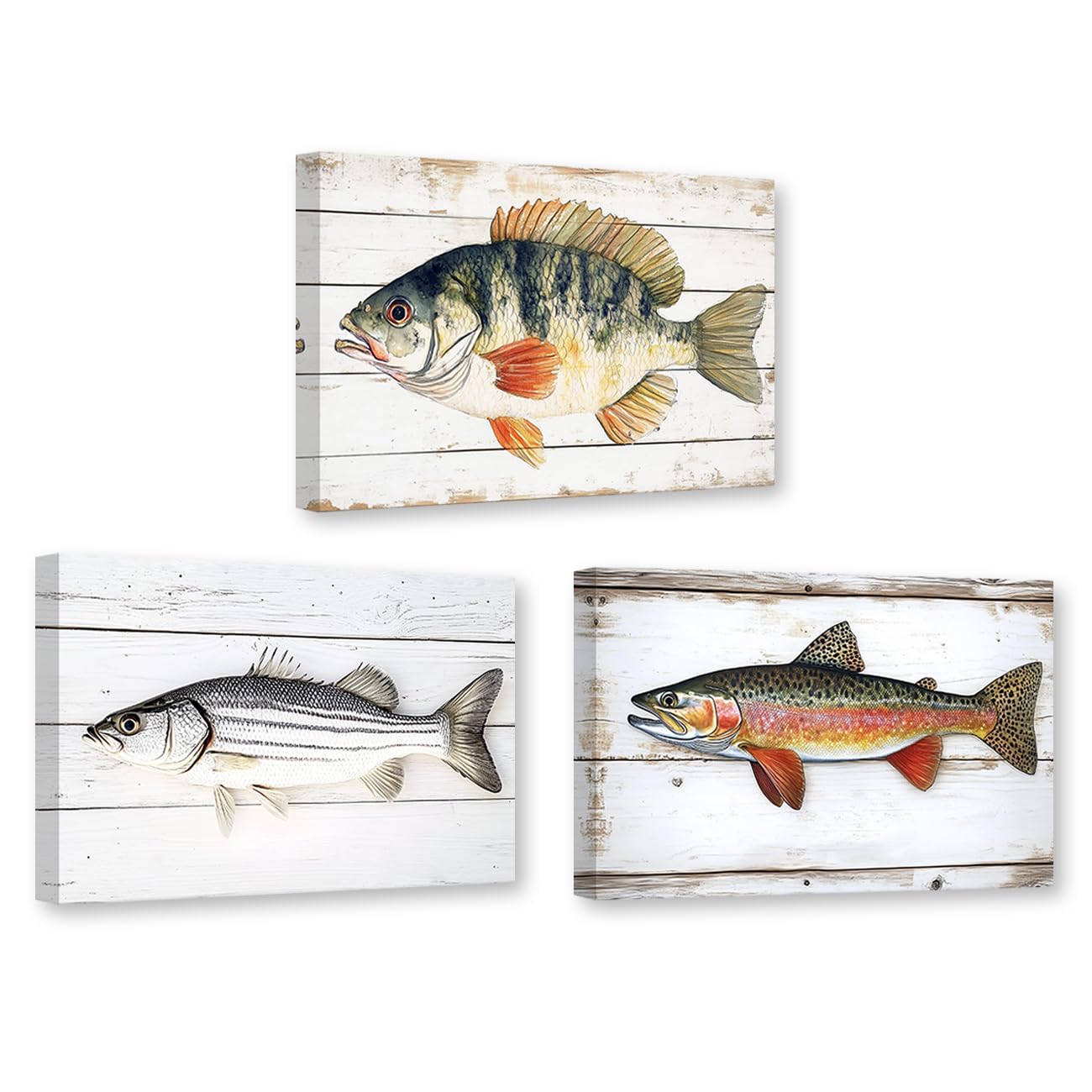 CXHOSTENT Fish Canvas Wall Art Vintage Fishing Decor 3 Pieces Bass Trout Bluegill Pictures Print Midwest Fish Species Poster Home Wall Decor Framed (40x60cmx3)