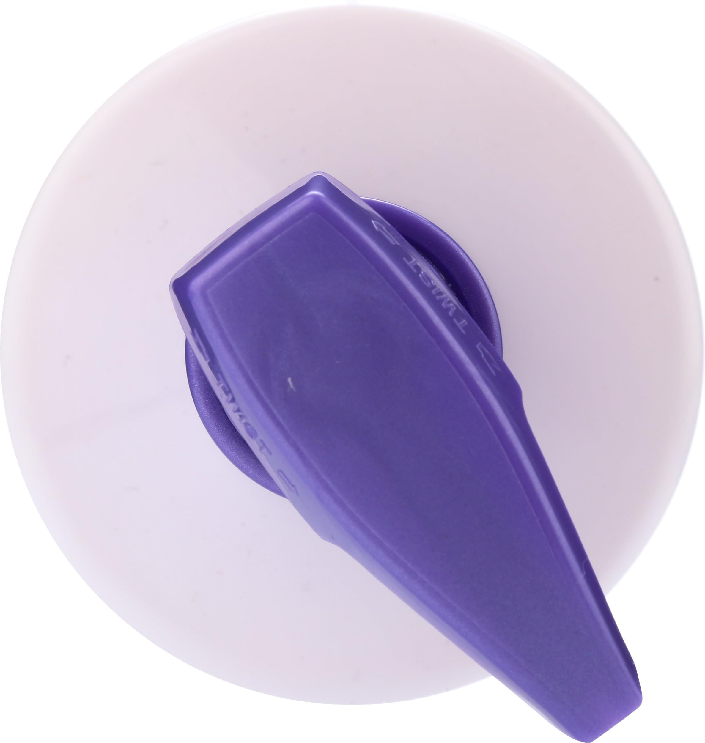 GIOVANNI 2chic szampon regenerujący, 680 ml, jeżyna i mleko kokosowe do suchych, zniszczonych i farbowanych włosów, wzbogacony o argan, masło shea, keratynę, bez siarczanów, trwały kolor, bez