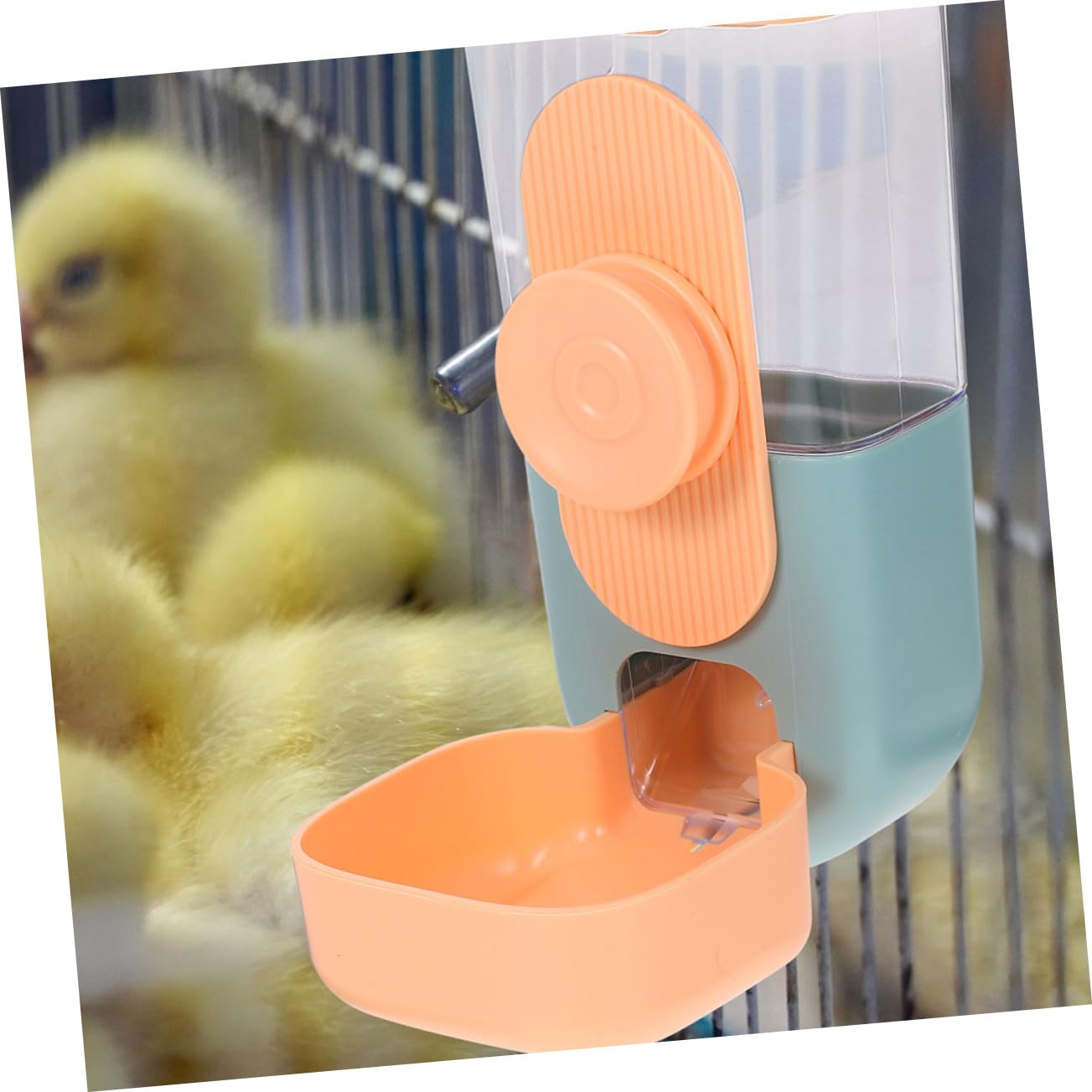 KOMBIUDA Dispenser Automatico Sospeso per Cibo e Acqua per Conigli e Cavie Capacità in Plastica Resistente Compatto e Antispill per Gabbie e Conigliere Esterne