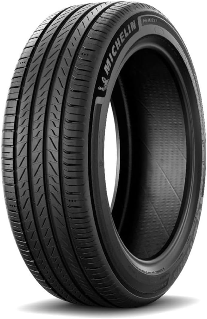 真作/狩野安信/月に群雁図/巨勢小石の桐極箱付/布袋屋掛軸HE-532 真作/狩野安信/月に群雁図/巨勢小石の桐極箱付/