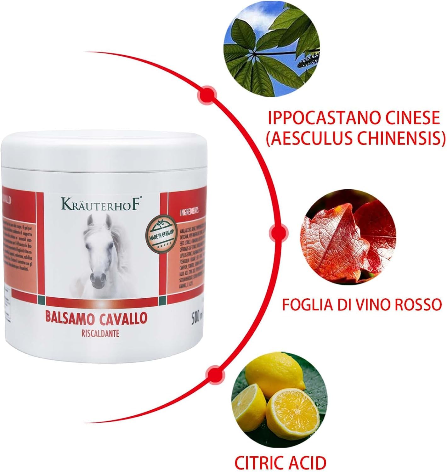 Naturus per Krauterhof | Balsamo Riscaldante per Cavalli Extra Forte, Gel all’Arnica – Sollievo Muscolare Post-Allenamento, Uso Esterno | Non Ingeribile, 500ml