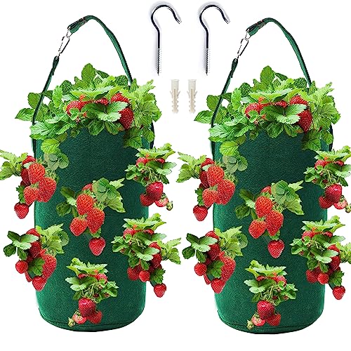 Betereap Hanging Strawberry Grow Bag with 12 Holes, 2-Pack Widen Planting Holes 400G Heavy Duty Easy Installation Durable Vertical Strawberry Planter for Balcony, Garden or Patio