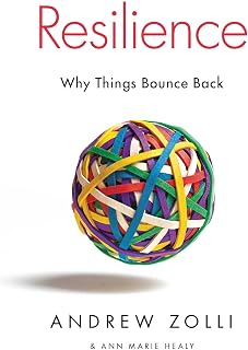 Resilience: Why Things Bounce Back