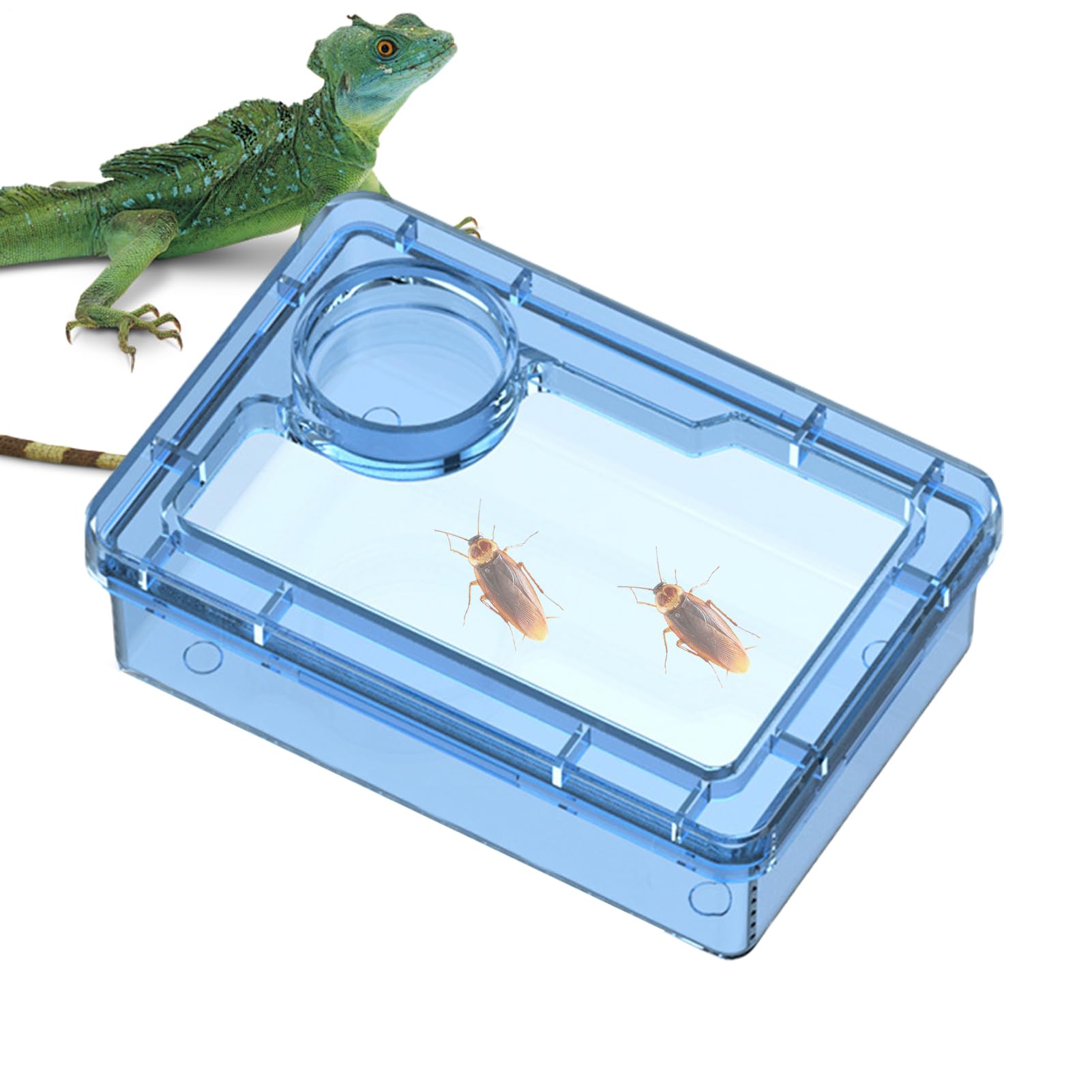 Reptile Food Dish, Anti-Escape Tortoise Water Bowl, Amphibian Supplies for Chameleon, Frog, Snake, Lizard, Spider & Terrarium Habitat