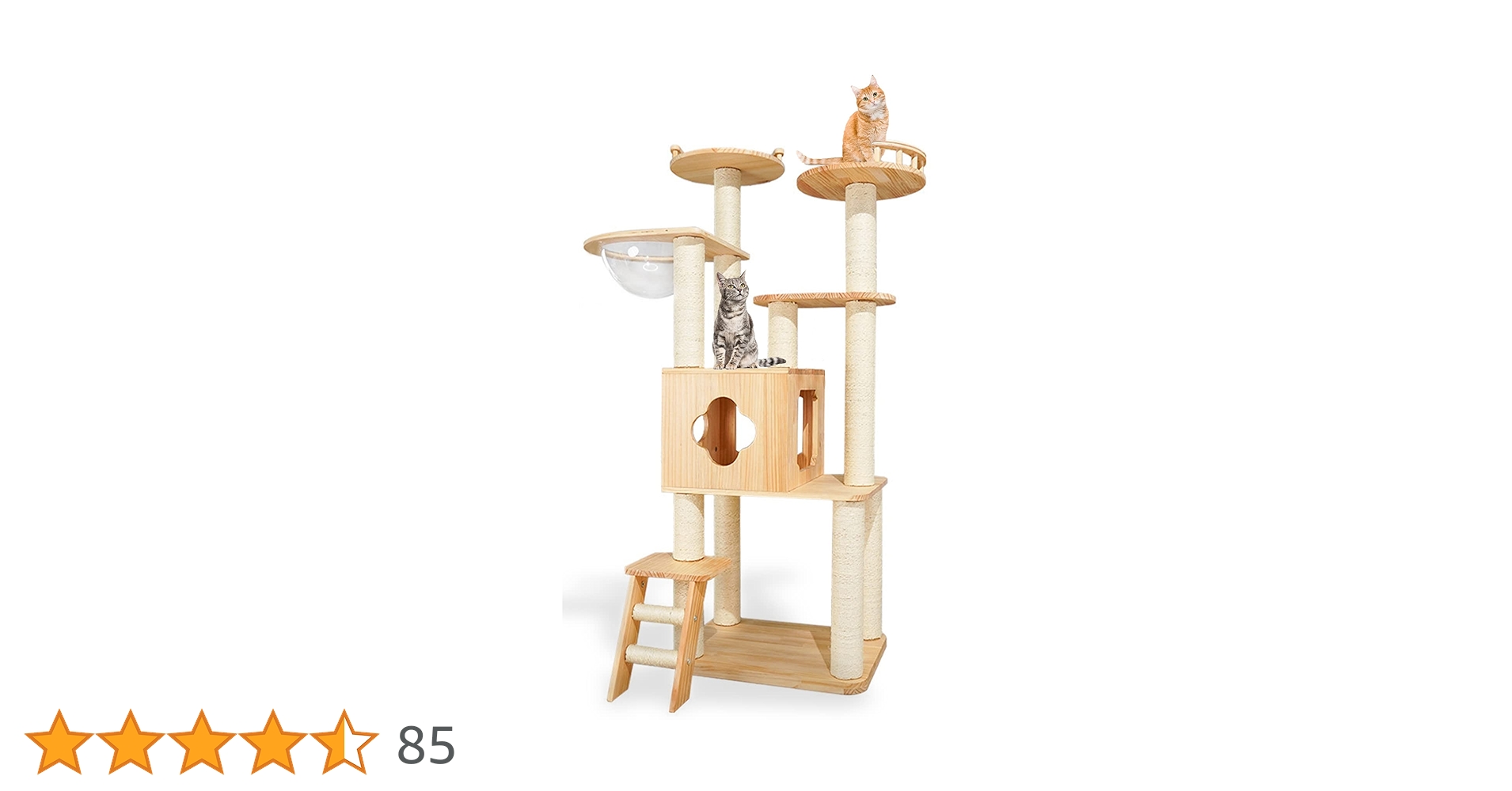 61QpZHZzb6L.jpg_BO30,255,255,