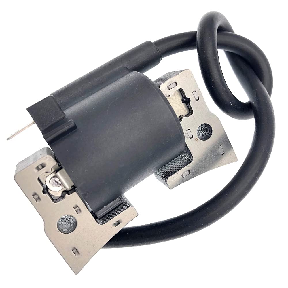 Realman 21121-2067 211212067 Module de bobine d'allumage pour moteurs Kawasaki 4 temps FE250D FE290D FE350D FE350G GE4000A GE4300A GE4500A GE5000A GEF00A GER30A
