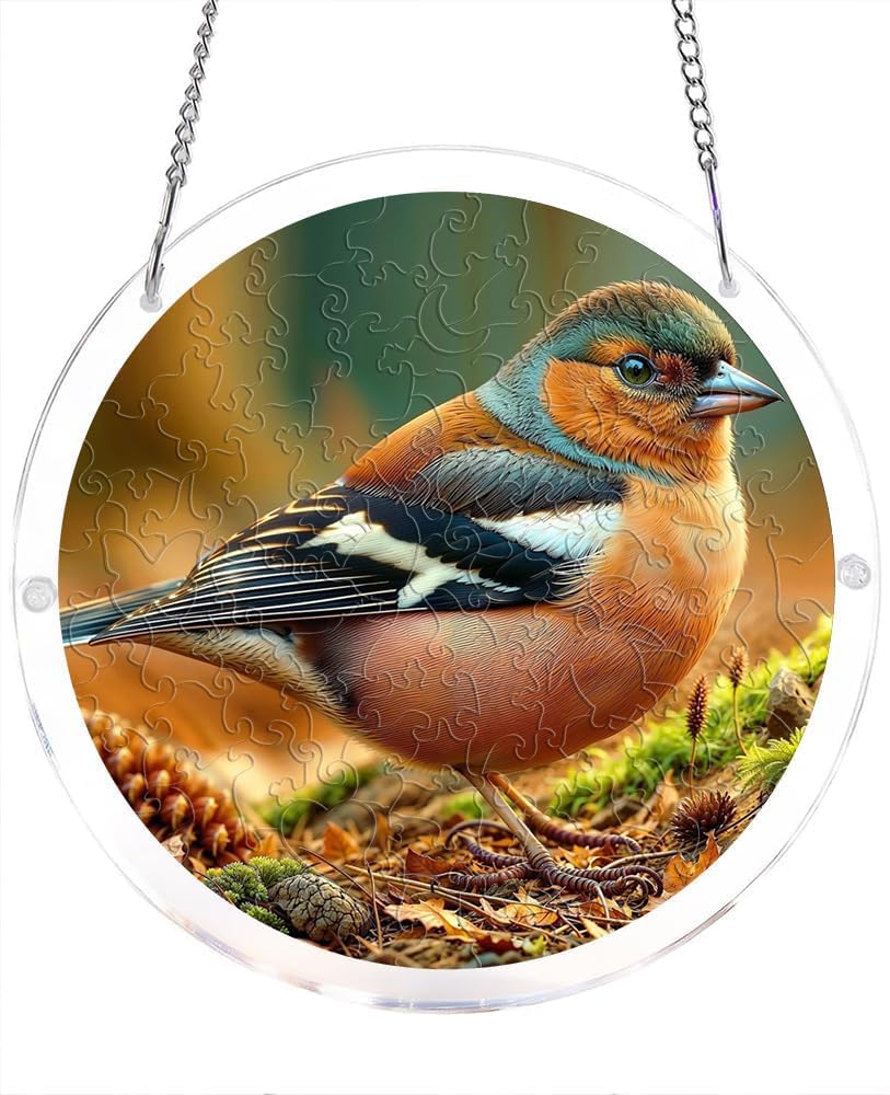 Bird Nature Scene Acrylic Jigsaw Puzzles Suncatcher, 8.9 Inch Window Hanging Suncatcher Acrylic Puzzle, DIY Home Decor Art Gift