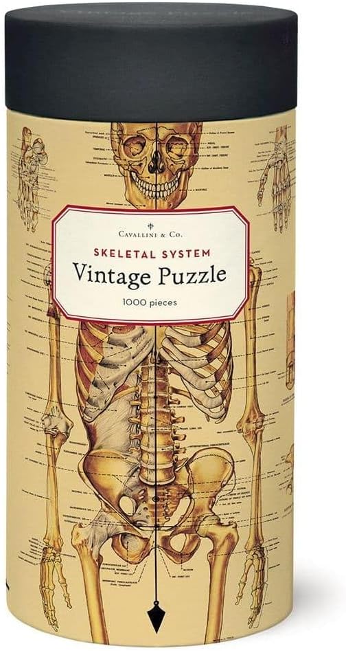 Cavallini Papers & Co. Skeletal System 1,000 Piece Puzzle, Multi