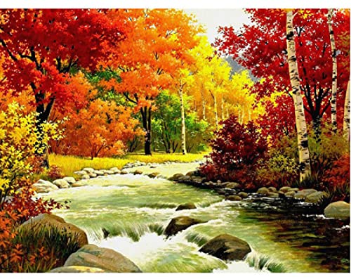 Peinture au diamant 5D adultes kit paysage de rivière : idée cadeau amusant original