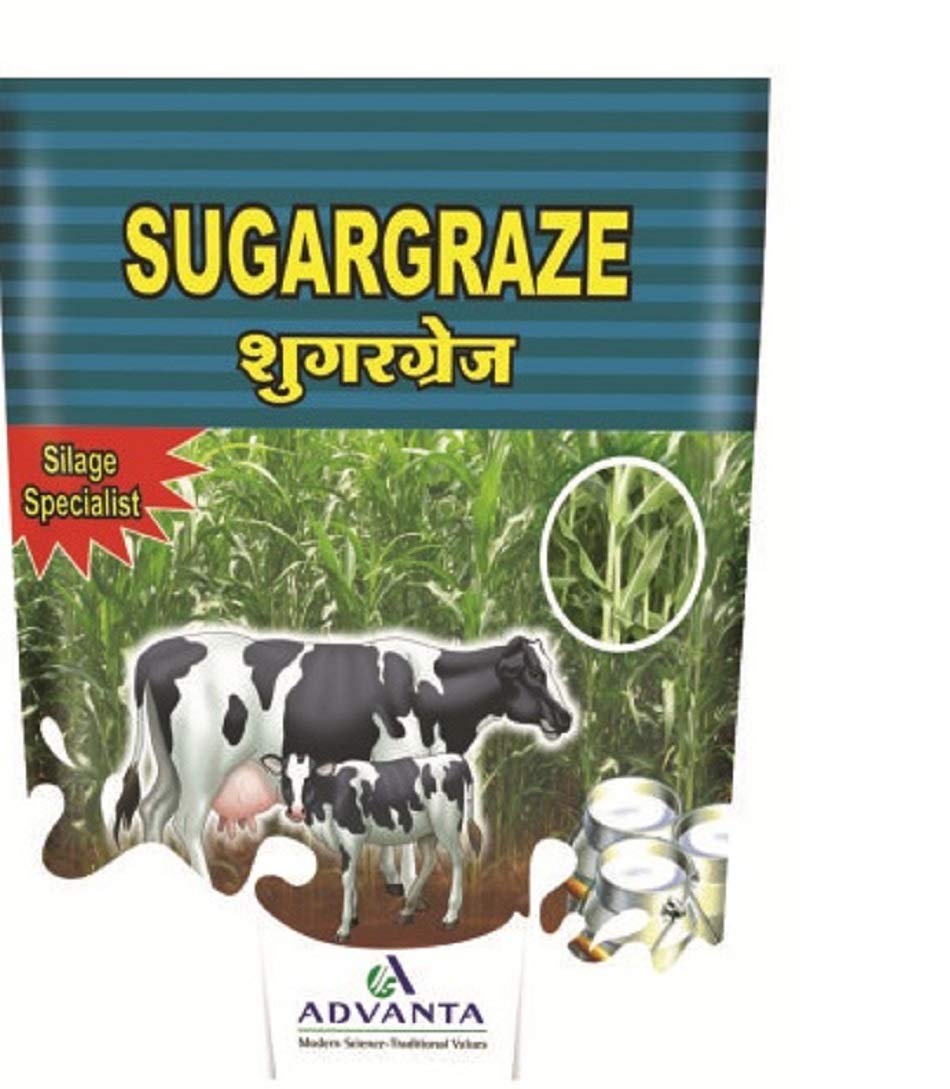 PURE AGROVET ENTERPRISES ADVANTA Sugargraze Seeds Dual-Cut Hybrid Green Fodder Grass for Cow, Buffalo, Goat, Sheep & Pig (Pack of Average 1 Kg) (B07VVNMWP6) Amazon Price History, Amazon Price Tracker