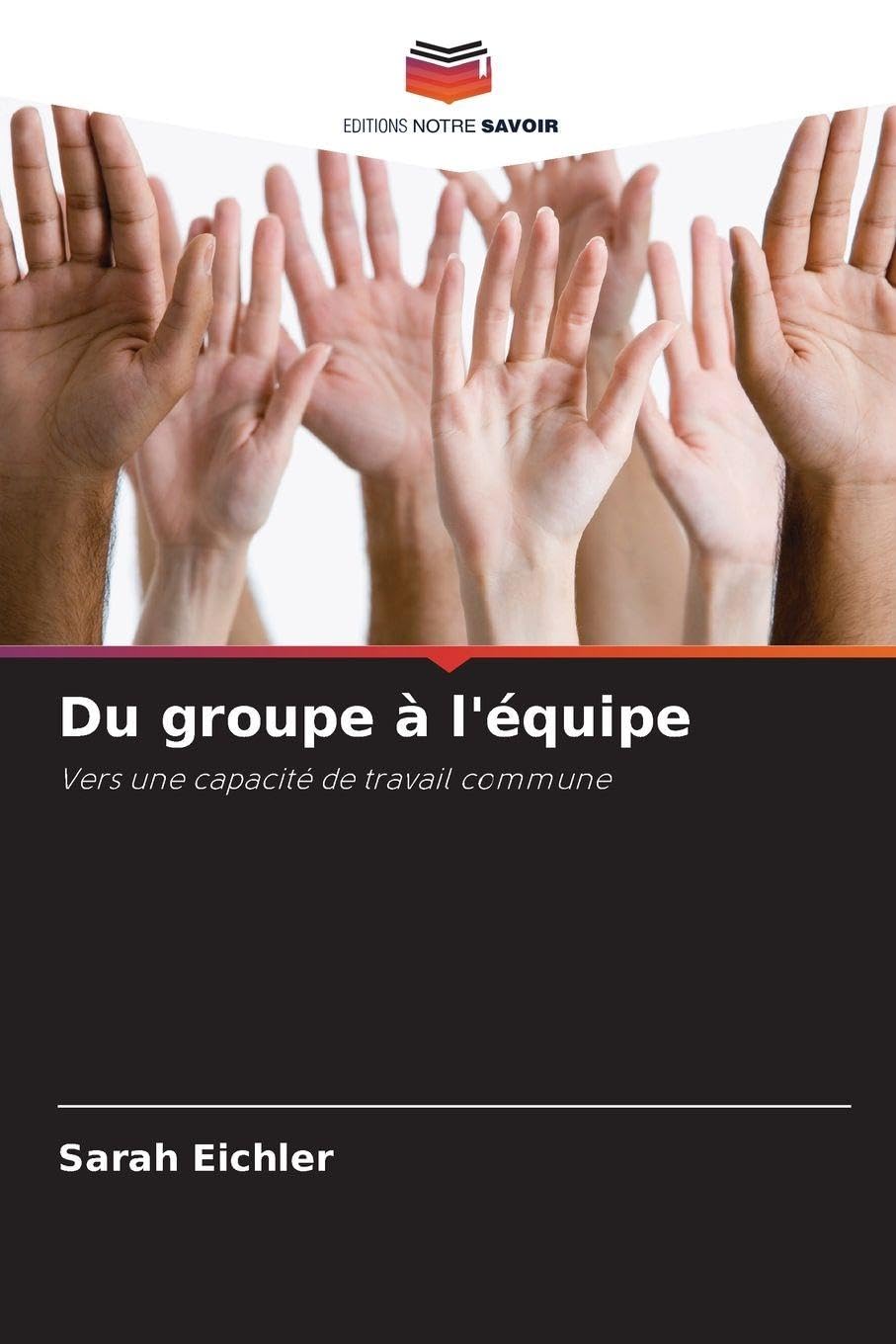 Du groupe à l'équipe: Vers une capacité de travail commune