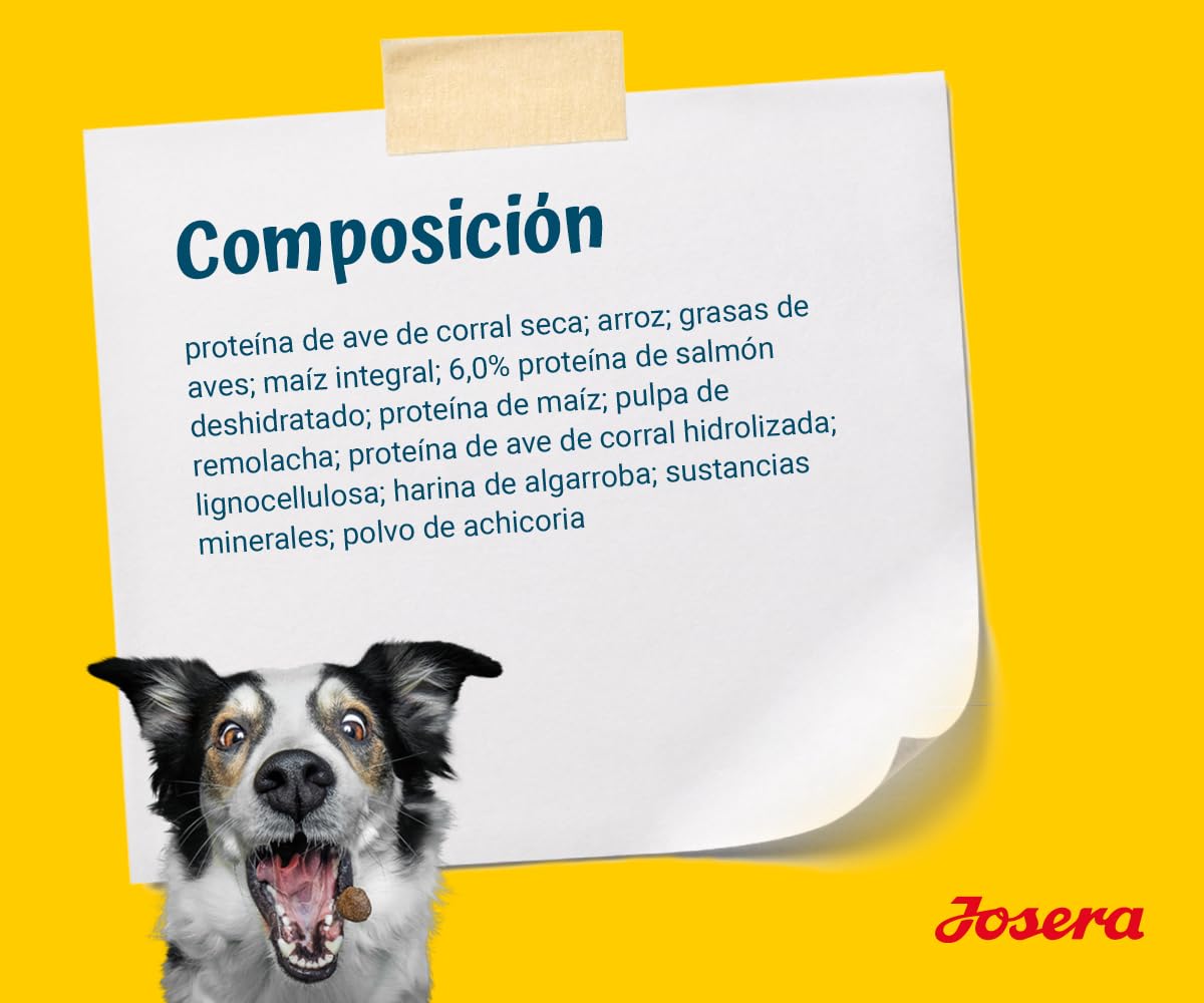 JOSERA Family Plus (1 x 12,5 kg) | Puppy | Comida Seca Premium para Perras y Cachorros preñadores/Lactantes | salmón y Aves de Corral | Suministro óptimo con Enegie y L-carnitina | Sin Trigo | 1