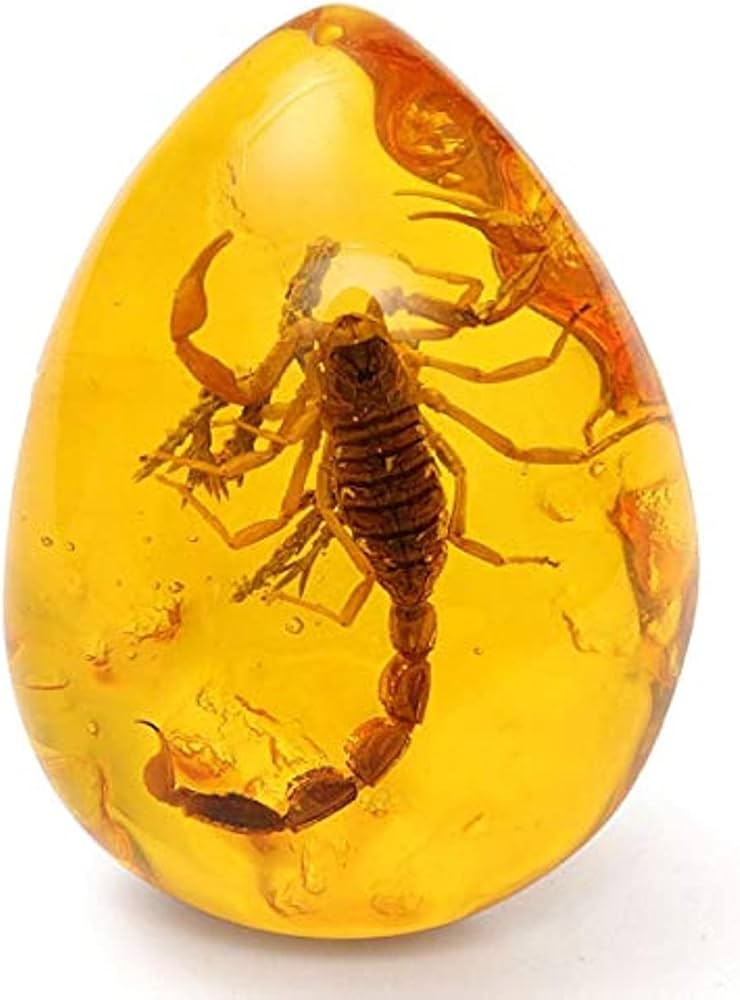 Amazon.co.jp: 内包物琥珀バルト海ペンダントネックレス4*5.5 cm