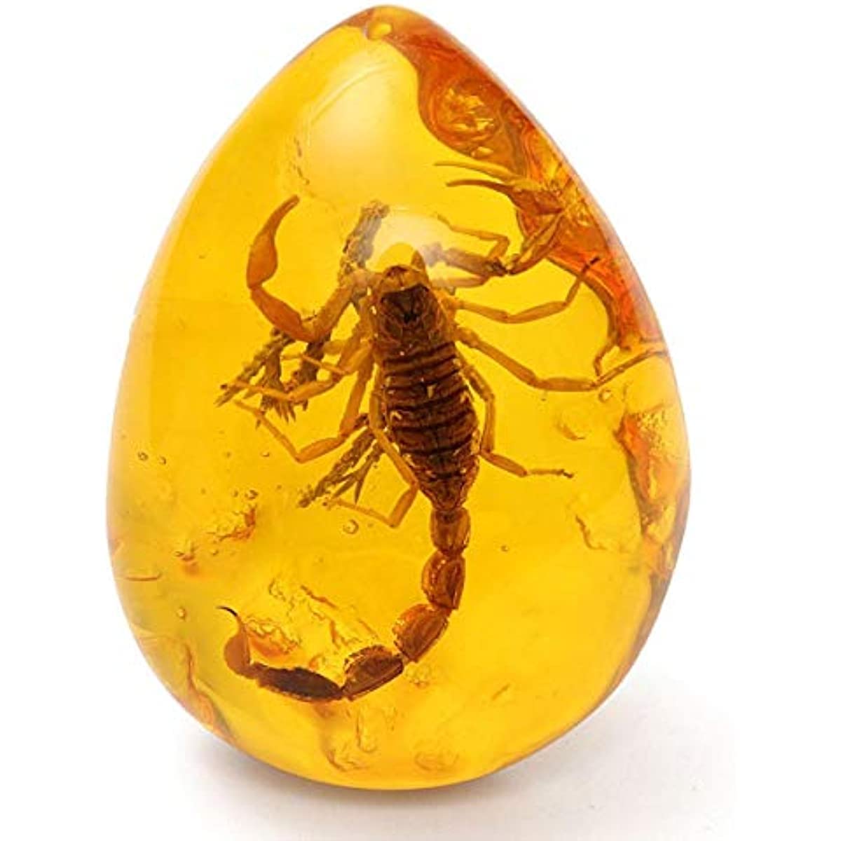 EdirFtra Inclusion Amber Baltic Pendant Necklace Decoration 4 * 5.5cm