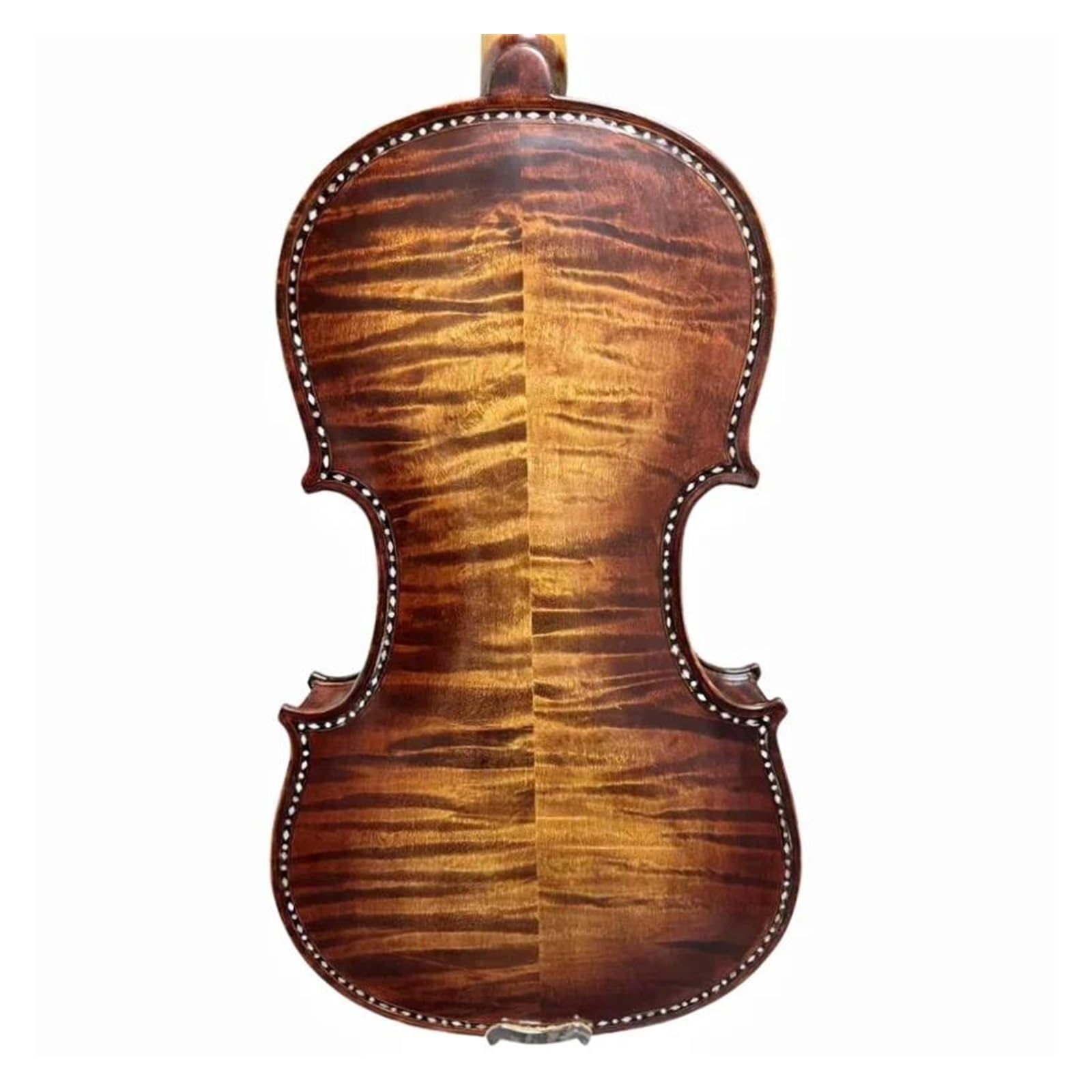 Amazon | バイオリンセット 美しい4/4バイオリンのリブネック精巧な