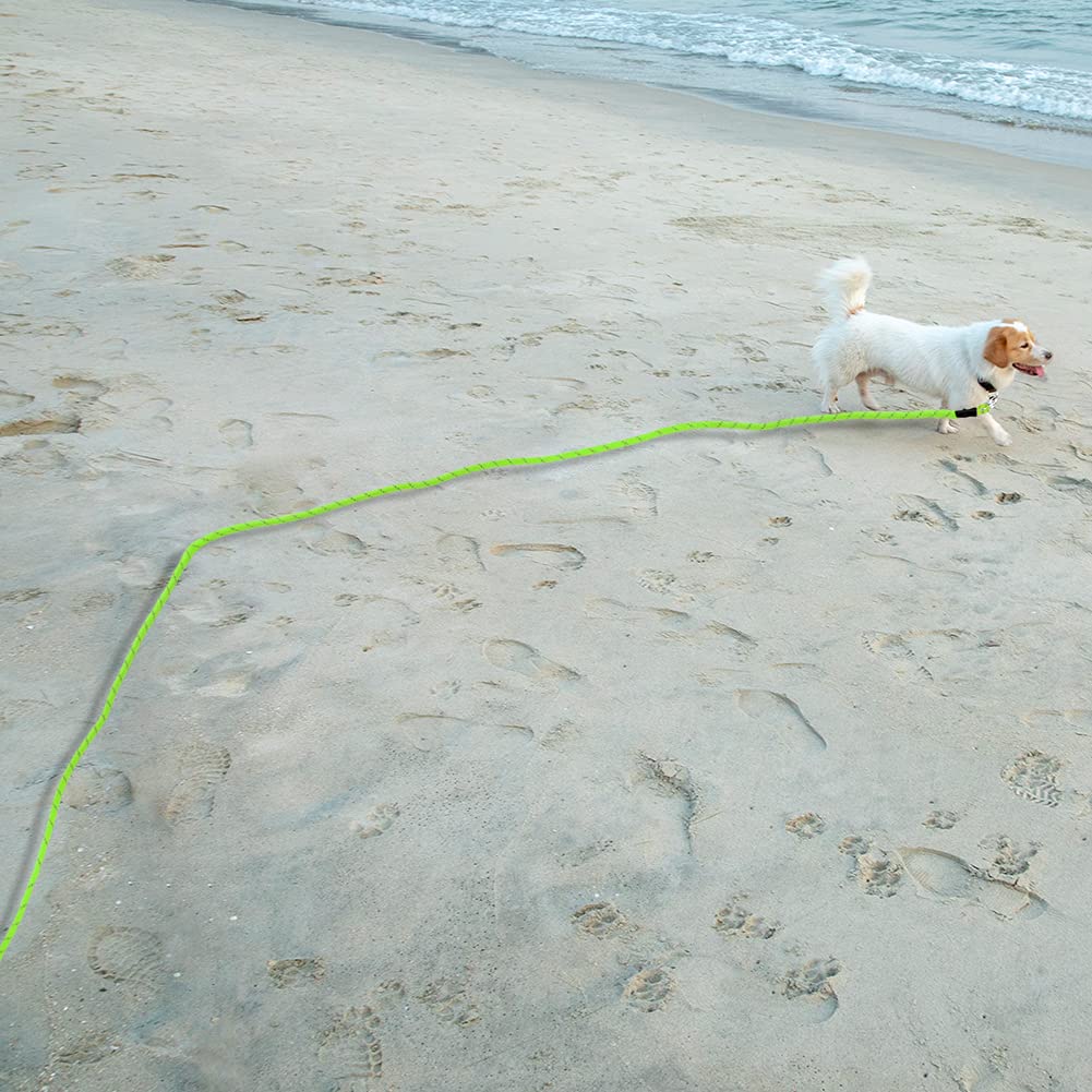 Vivifying Longue Laisse Flottante réfléchissante pour Chien avec poignée Souple pour Le Camping, la randonnée, la Natation, la Plage et Le lac (Vert)
