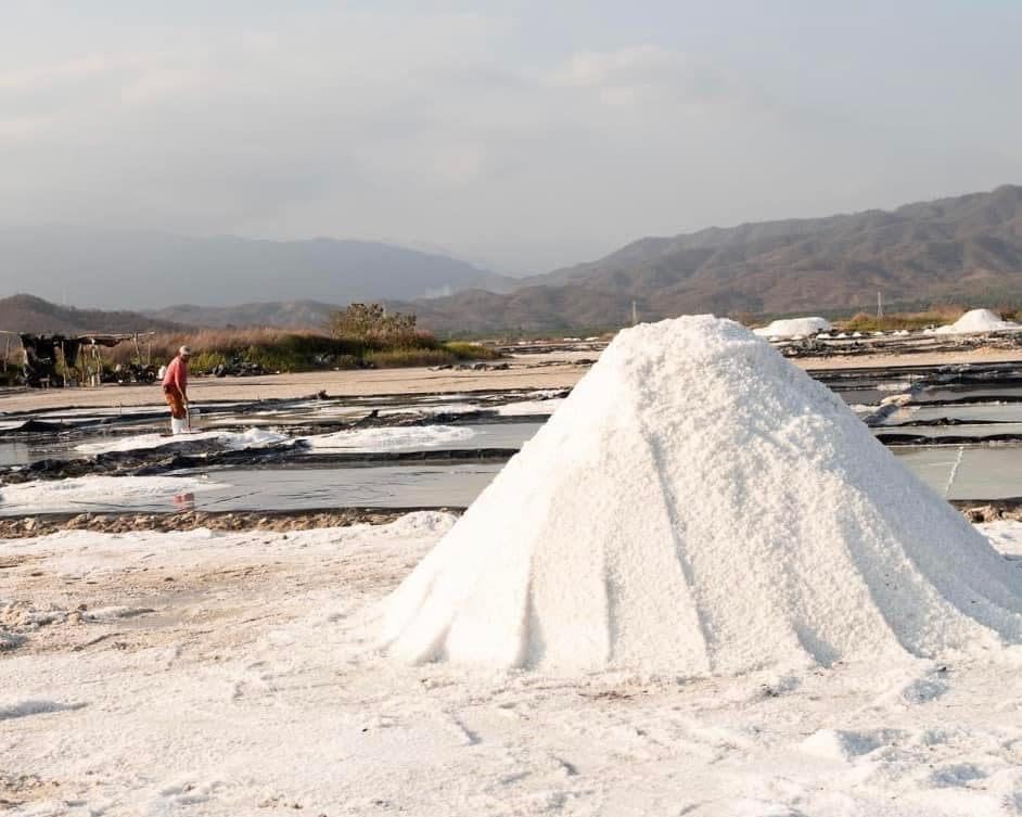 Miniatura 6 de Artisenal - Sal marina baja en sodio, paquete de 16 onzas