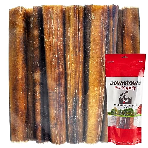 USA Sourced Jumbo Bully Sticks for Large Dogs - Rawhide Free and Long Lasting - Low Odor Chew for Medium Dogs
