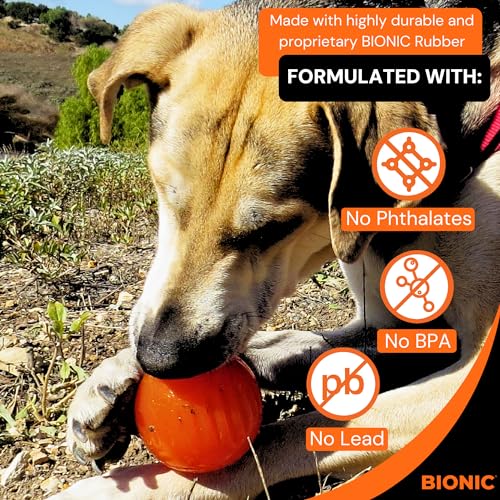 Bionic Ball, extrem widerstandsfähiges Hundespielzeug, 8,2cm