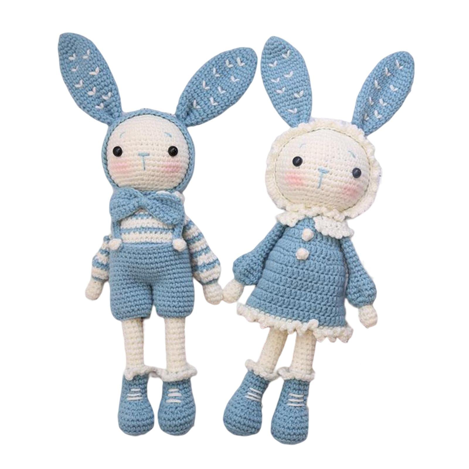 Crochet Kit for Beginner Cute Rabbits Includes Yarn Hook Accessories Blue