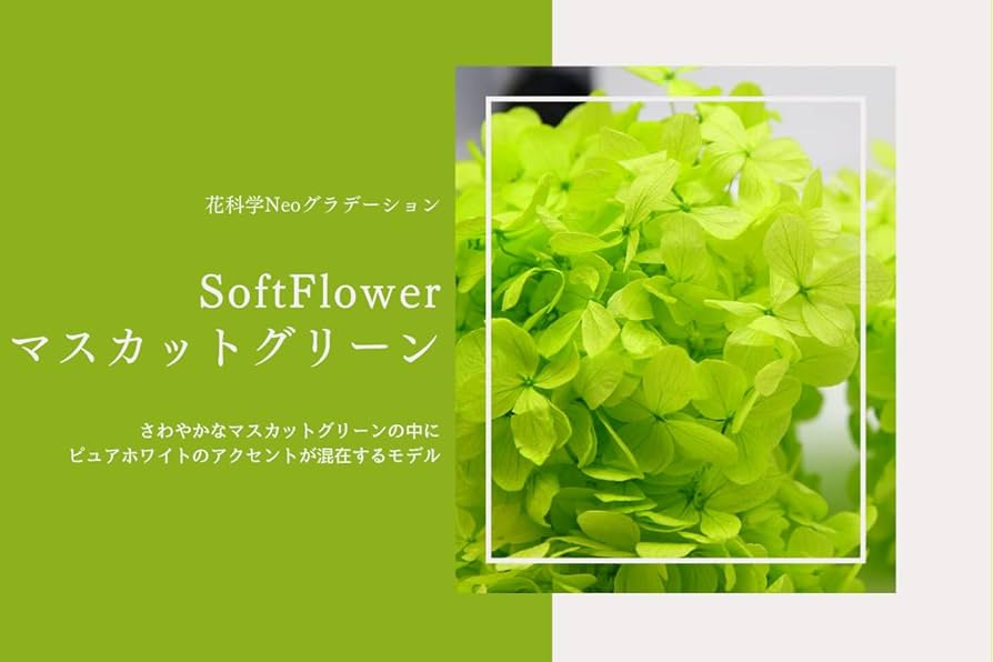 Amazon｜プリザーブドフラワー あじさい 花材 ソフトフラワー