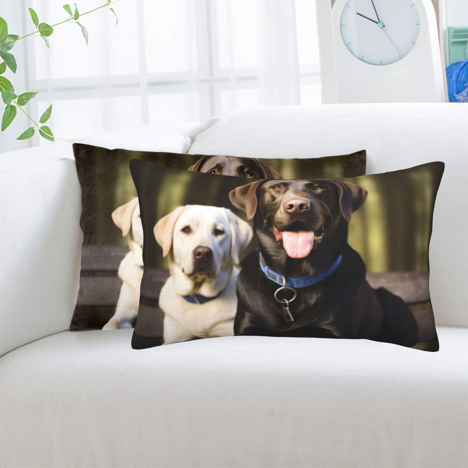 Labrador Standard Pillowcases Sets of 2, Ultra Soft Microfiber Plush Pillow Cases 14"X20" Comfort Decorative Throw Pillow Cover with Hidden Zipper for Bedroom, Sofa, Couch