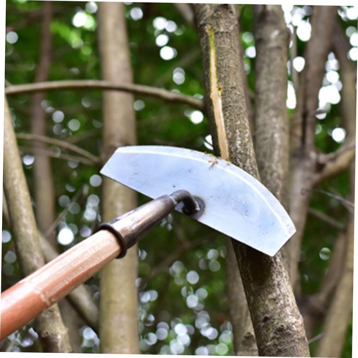 Toyvian 3 Stck. Hand Hacke Gartenwerkzeug Tragbare Unkrautentferner ohne Griff für Gartenarbeiten Graben und Jäten