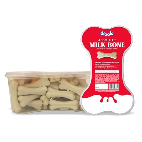 Drools Absolute Dog Bone Treats 300g 20 Pieces Jar | Milk Flavour | Strengthens Gums and Jaws | Enriched with Calcium and Phosphorus | Keeps the Dog's Teeth Healthy and Clean (All Life Stages)