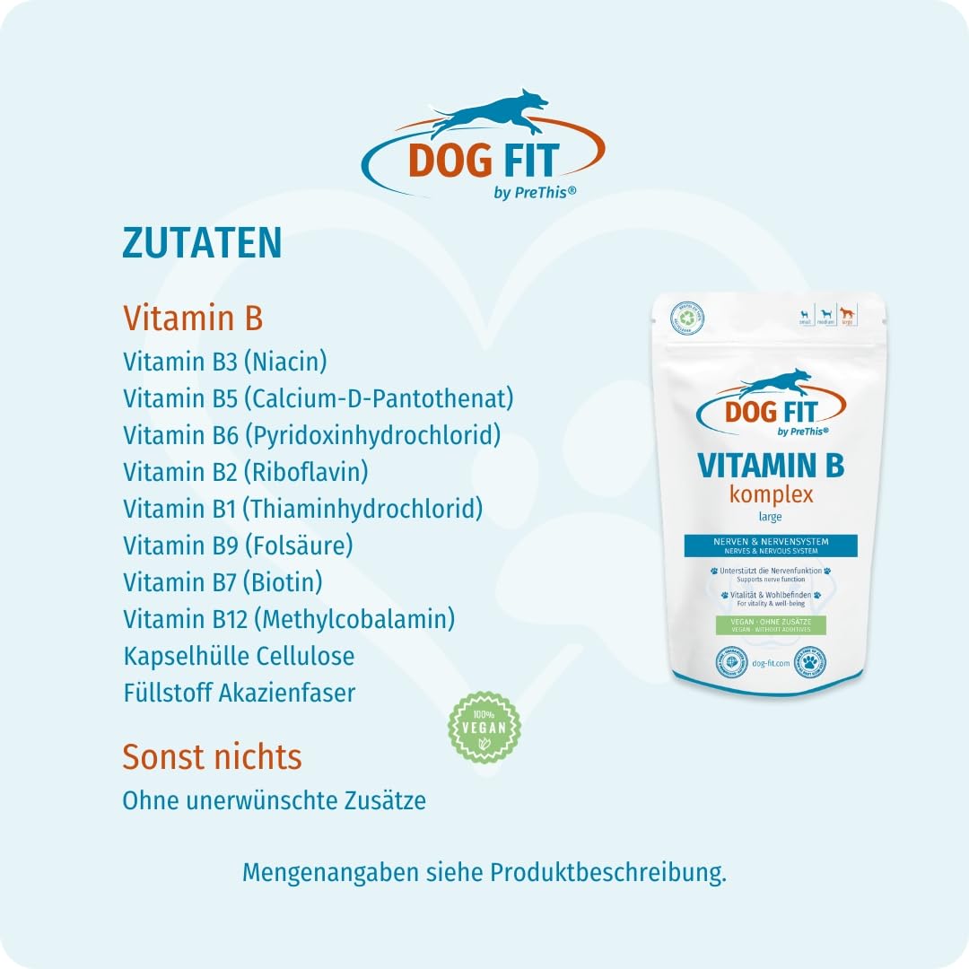 DOG FIT by PreThis® Vitamin B Komplex für Hunde | Unterstützung der normalen Nervenfunktion I Vitalität & Stoffwechsel | Vegan & ohne künstliche Zusätze I Large ab 25kg | 60 vegane Kapseln