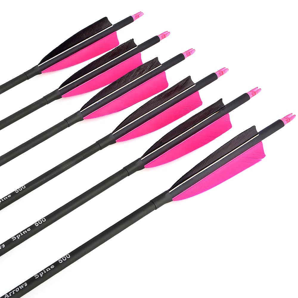 AMEYXGS 12 Stück Bogenschießen Carbonpfeile 30 Zoll Bogenpfeile Jagdpfeile Spine 500 Zielpfeile mit 4" Truthahnfedern Austauschbare Pfeilspitzen für Recurvebogen Compoundbogen (Rosa)