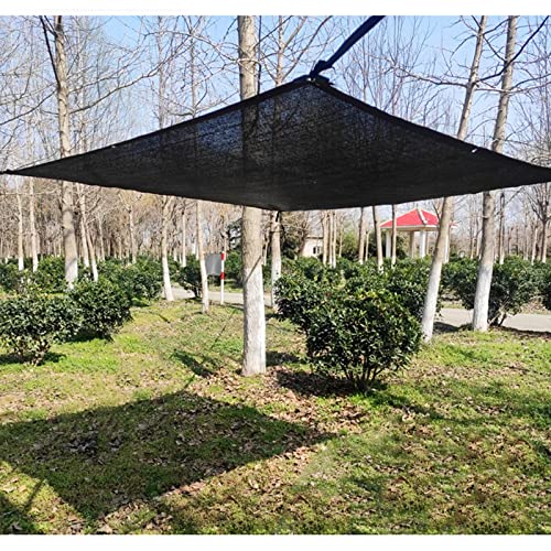 QWEASDF Panno Ombreggiante per Esterni, Rete Ombreggiante Antistrappo con Occhielli, Rete Telo Ombra per Frutta, Fiori, Colture, Serre, Posto Auto Coperto, Piscina,3 * 3m(9.84 * 9.84ft)