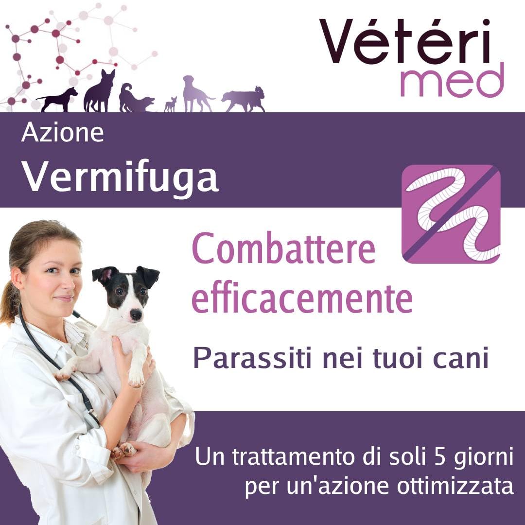Comprimés vermifuges naturels pour l'hygiène intestinale des Chiens - Agit sur Tous Types de vers - Fabriqué en France - 30 comprimés - Version Italienne