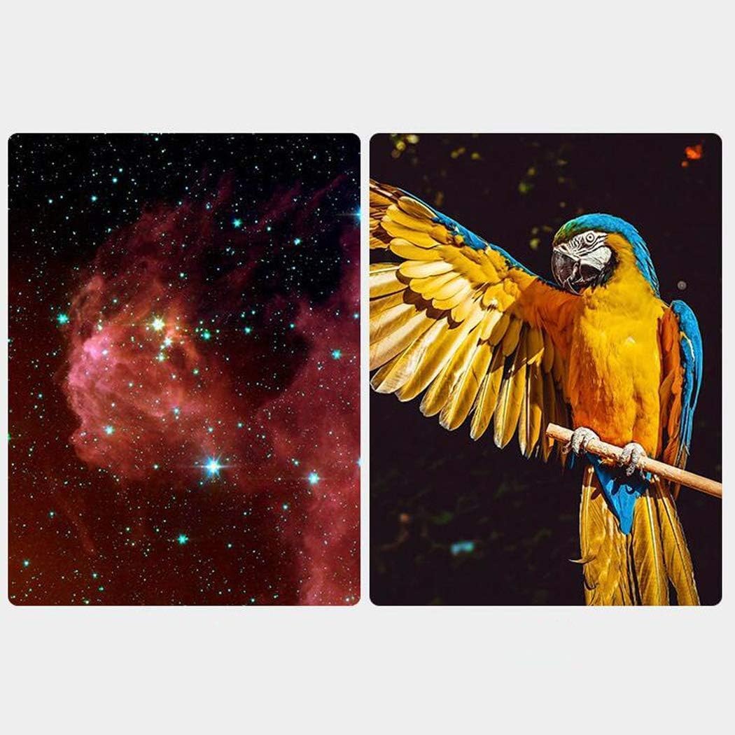 Telescopio monocular Telescopio astronómico refractivo para niños Alta Potencia, monocular, iluminación Espacial Telescopio para niños Binoculares para observar Las Estrellas Cielo y Tierra