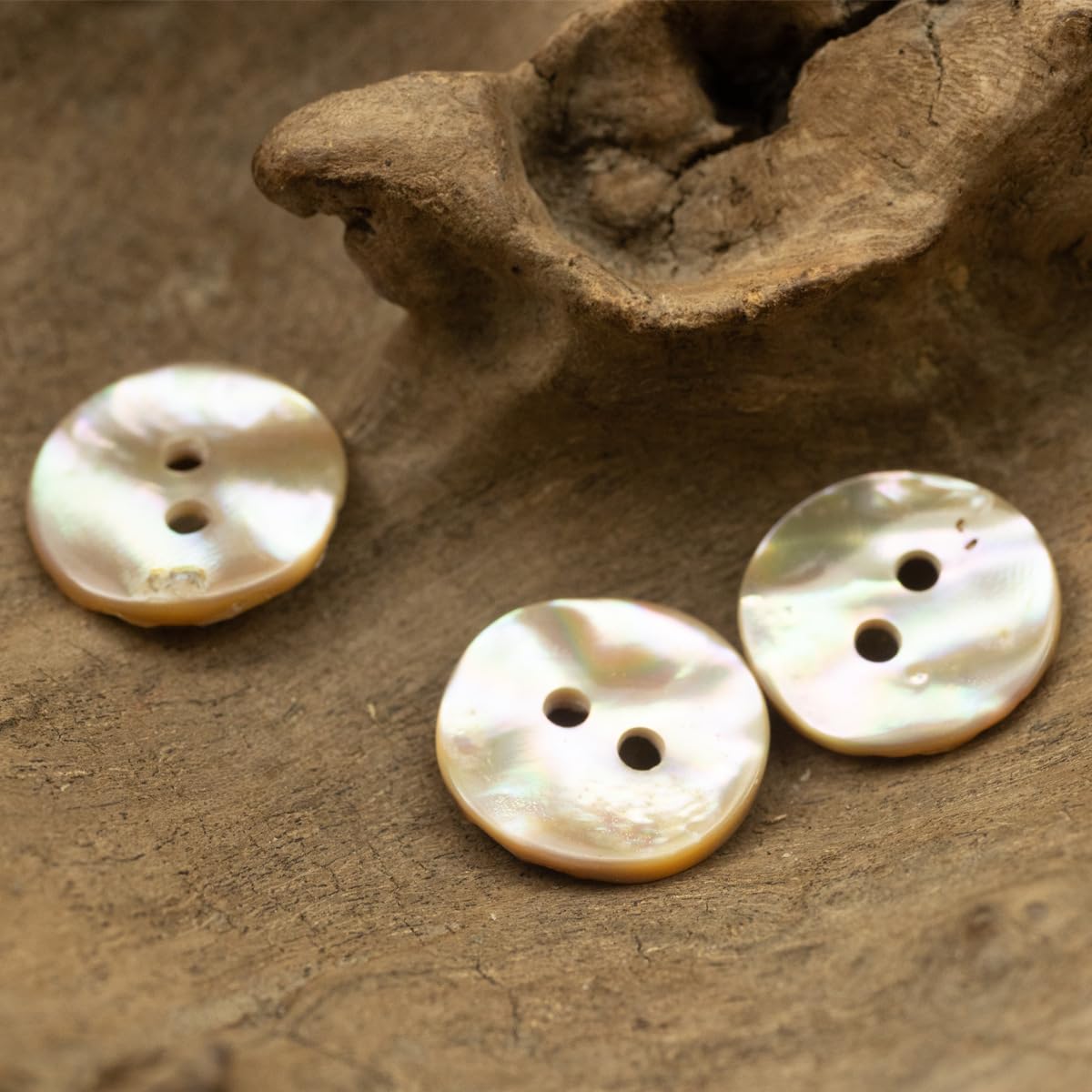 10 Pezzi 11,5-20 mm Bottoni in Conchiglia di Abalone Naturale, Bottoni Rotondi a 2 Fori per Cucire per Camicie, Maglioni, Cardigan, Abiti, Accessori Decorativi