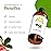 Sun Essential Oils - Wintergreen 4oz Bottle for Humidifier, Diffuser, Aromatherapy, Soap and Candle Making - Aromatherapy Oil