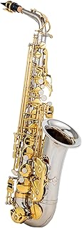XIBANY Eb Saxofone Alto Latão E Flat Sax 802 Tipo de Tecla Instrumento de Sopro de Madeira com Haste de Limpeza Luvas de Tecido Estojo Alça Acolchoada