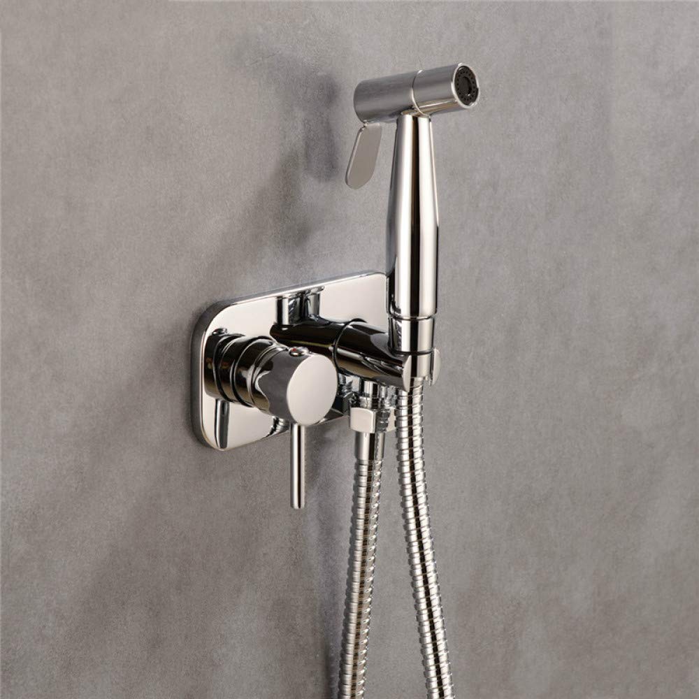 Spruzzatore per bidet portatile per WC, set di accessori per bidet per WC con doccia portatile