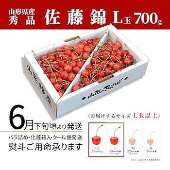 佐藤薔薇４７本 佐藤様専用薔薇47本 （訳あり》山形県産さくらんぼ佐藤錦1kg