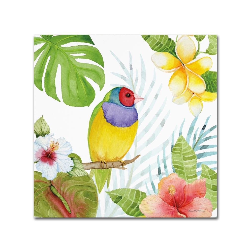 Treasures of the Tropics V by Kathleen Parr McKenna, 14x14-Inch Canvas Wall Art