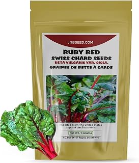Ruby Red Swiss Chard Seeds for Planting-(Approx. 400 Seeds- 10 Grams) Home Vegetable Garden