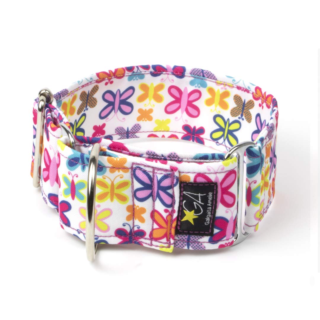 Galguita Amelie Collar Martingale para perros, Mariposas, 4cm de Ancho Talla L ( 40 – 49 cm de contorno)