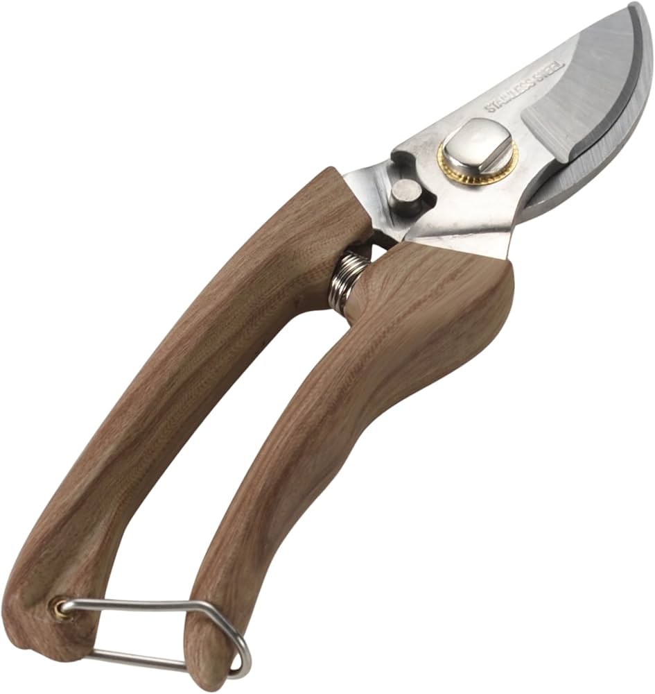 Amazon | 高儀(Takagi) WOODY TASTE ステンレスレディース剪定鋏 165mm Amazon | 高儀(Takagi) WOODY TASTE ステンレスレディース剪定鋏 165mm