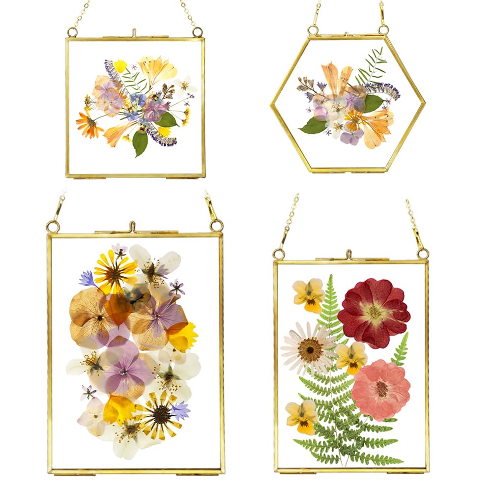 4 PCS Glass Frame for Pressed Flowers - Gold Floating Picture Frames with Metal Chain Wall Hanging Pressed Flower Frames for Dried Flowers Plants Specimen
