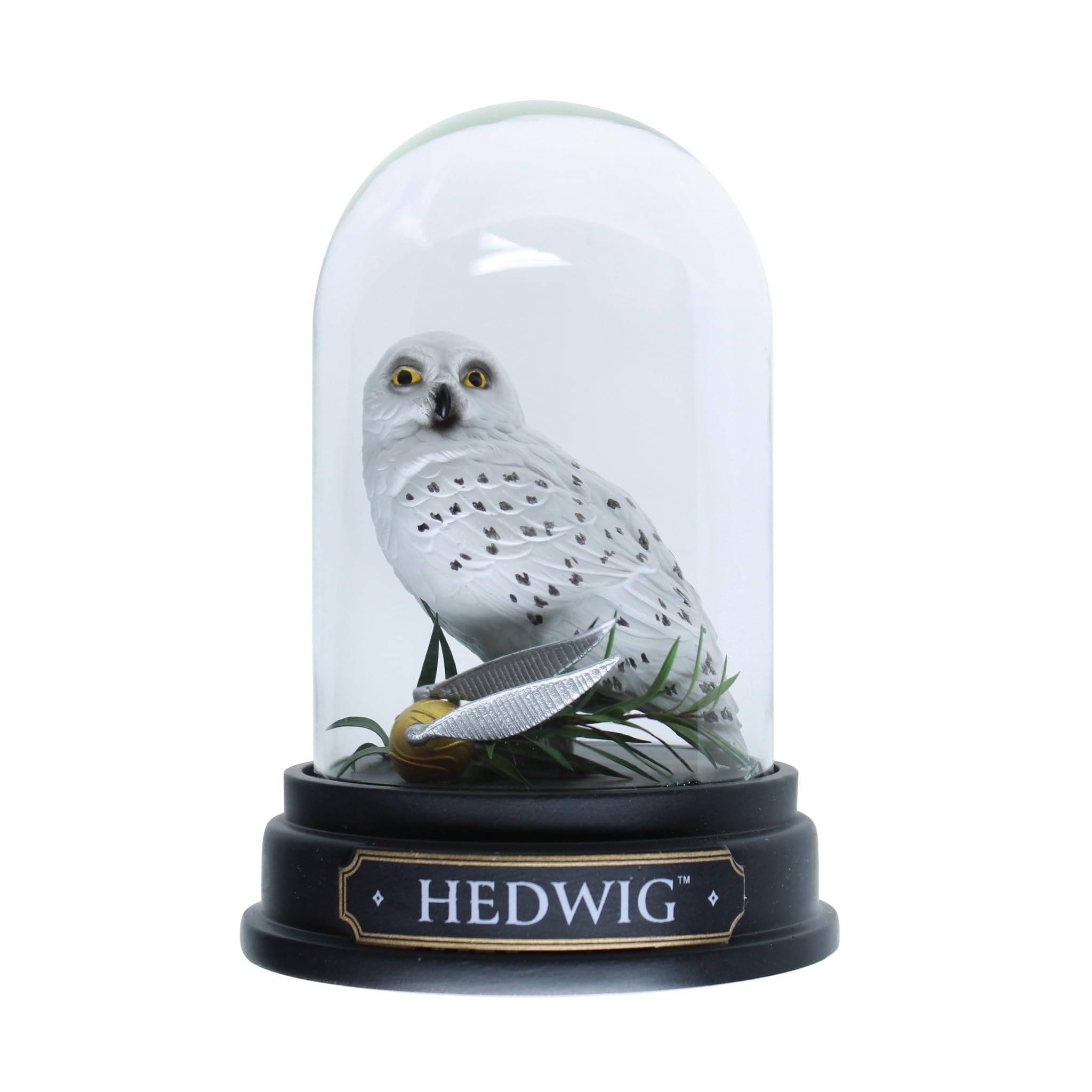 Wizarding World of Harry Potter Hedwig Curiosity Cloche