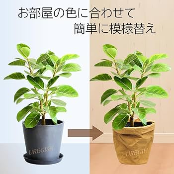 Amazon.co.jp: プランターカバー 室内 観葉植物 天然素材