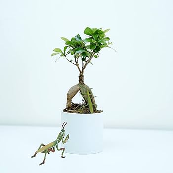 カマキリ男爵 昭和レトロ 珍品約40年前のカマキリ男 - メルカリ