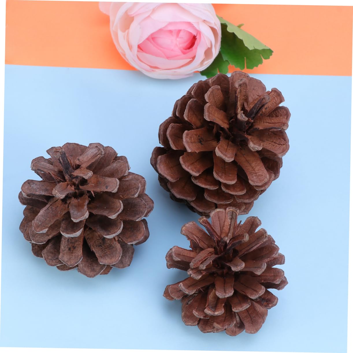 Gatuida 50 pezzi Naturali per Decorazioni Natalizie per Natale Feste e Decorazioni Domestiche Materiale Resistente per Uso Ripetuto